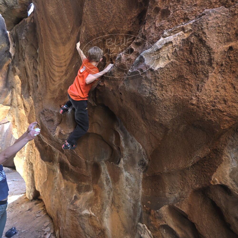 

Filename: SRM_20221113_1254140.jpg
Aperture: f/4.0
Shutter Speed: 1/320
Body: Canon EOS R6
Lens: Canon EF 16-35mm f/2.8 L