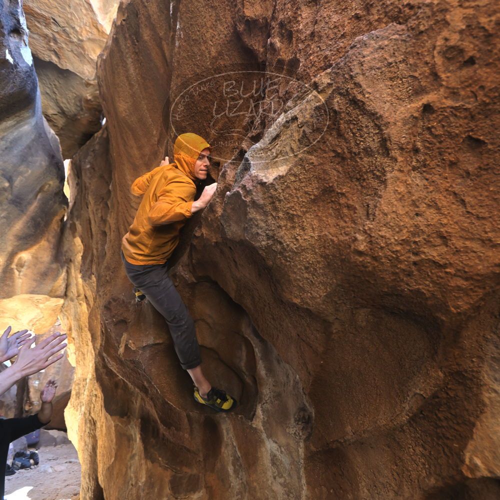 

Filename: SRM_20221113_1258320.jpg
Aperture: f/4.0
Shutter Speed: 1/320
Body: Canon EOS R6
Lens: Canon EF 16-35mm f/2.8 L