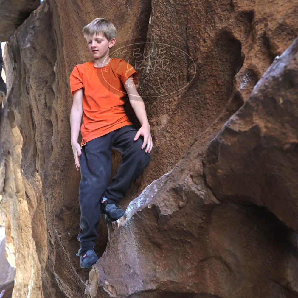 

Filename: SRM_20221113_1300500.jpg
Aperture: f/4.0
Shutter Speed: 1/320
Body: Canon EOS R6
Lens: Canon EF 16-35mm f/2.8 L