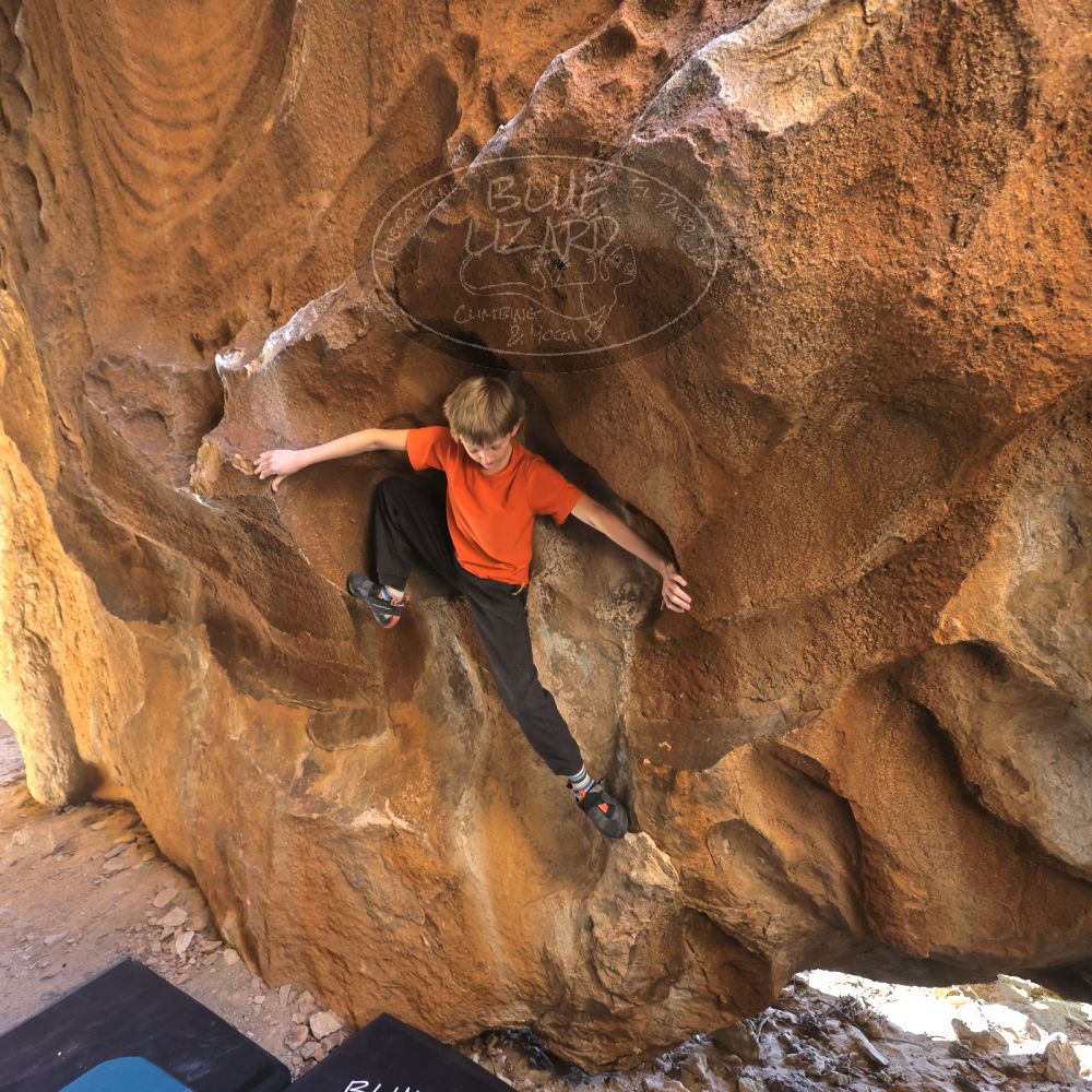 

Filename: SRM_20221113_1302081.jpg
Aperture: f/4.0
Shutter Speed: 1/320
Body: Canon EOS R6
Lens: Canon EF 16-35mm f/2.8 L