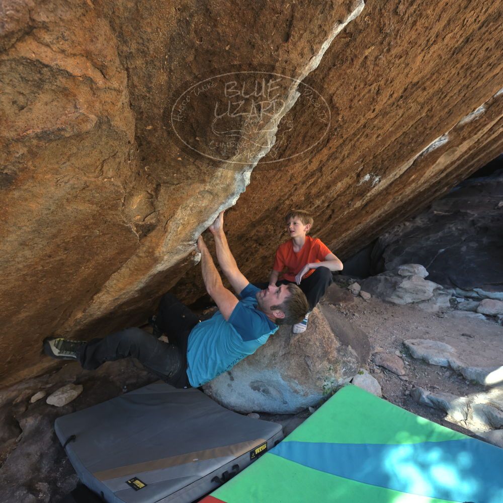 

Filename: SRM_20221113_1509200.jpg
Aperture: f/5.6
Shutter Speed: 1/640
Body: Canon EOS R6
Lens: Canon EF 16-35mm f/2.8 L