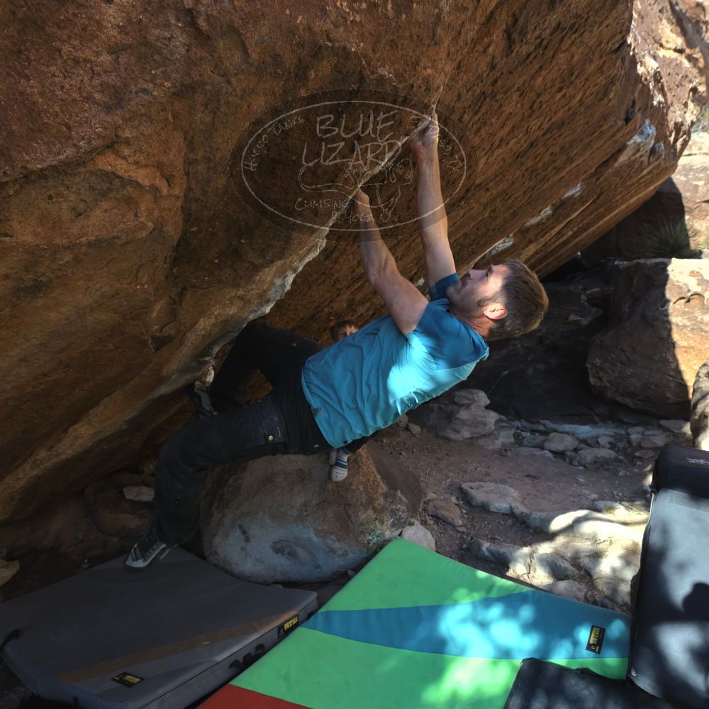 

Filename: SRM_20221113_1509240.jpg
Aperture: f/5.6
Shutter Speed: 1/640
Body: Canon EOS R6
Lens: Canon EF 16-35mm f/2.8 L