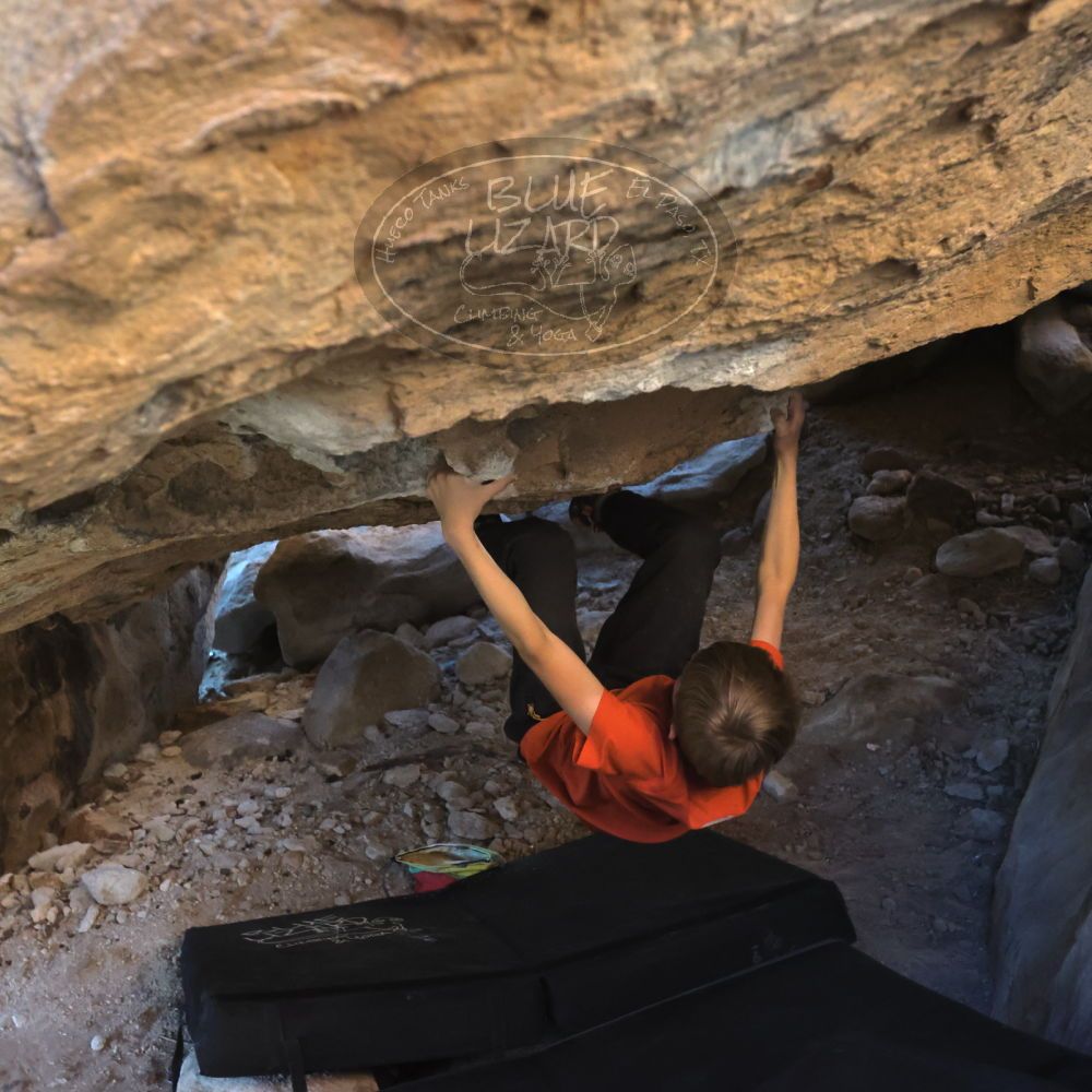 

Filename: SRM_20221113_1547420.jpg
Aperture: f/5.6
Shutter Speed: 1/640
Body: Canon EOS R6
Lens: Canon EF 16-35mm f/2.8 L