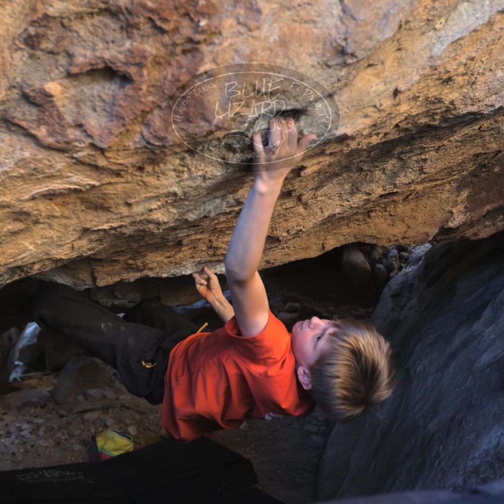 

Filename: SRM_20221113_1549451.jpg
Aperture: f/4.0
Shutter Speed: 1/320
Body: Canon EOS R6
Lens: Canon EF 16-35mm f/2.8 L