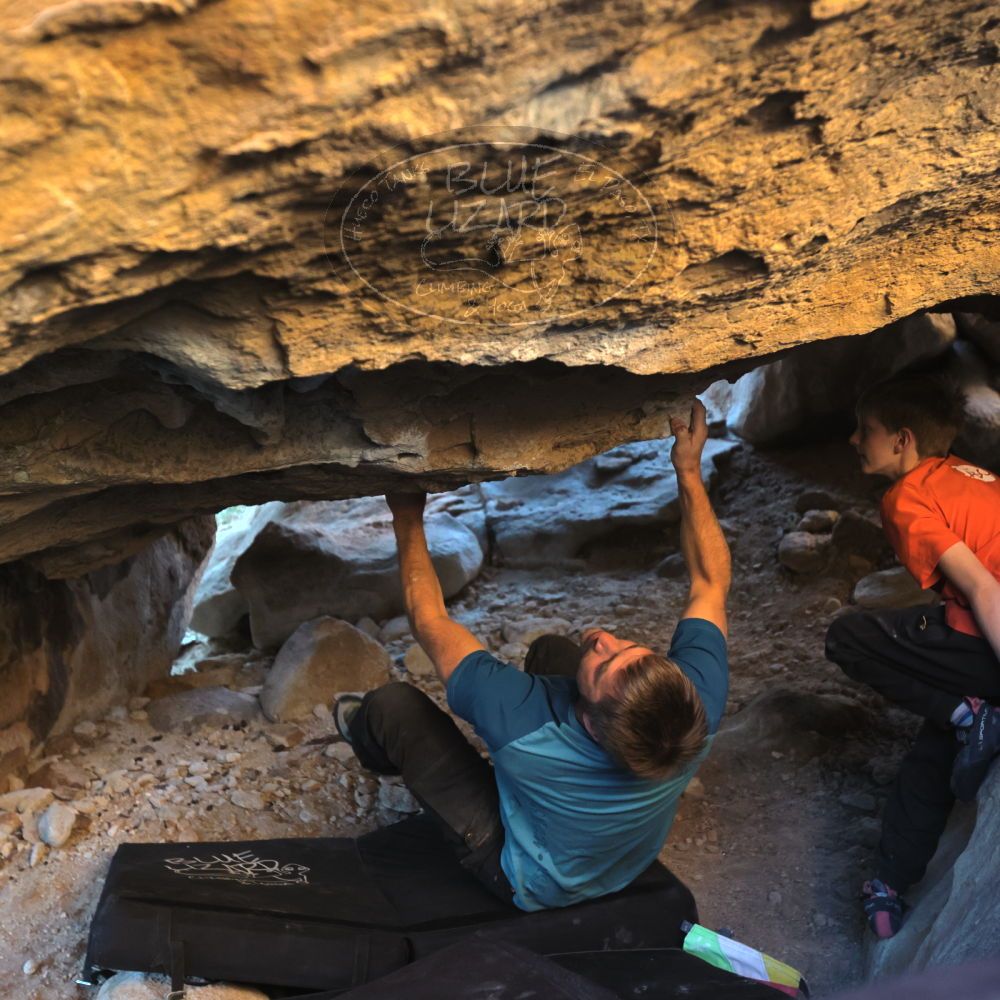 

Filename: SRM_20221113_1555510.jpg
Aperture: f/4.0
Shutter Speed: 1/320
Body: Canon EOS R6
Lens: Canon EF 16-35mm f/2.8 L