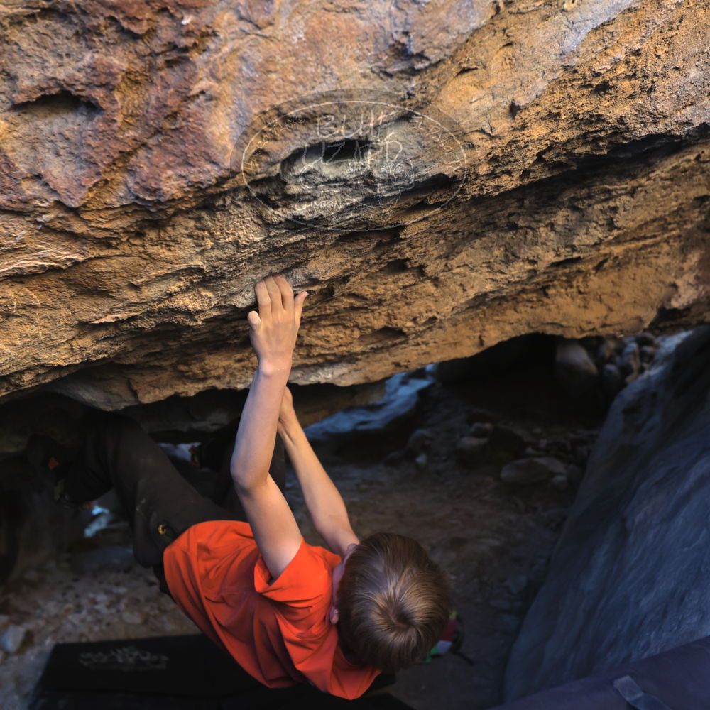 

Filename: SRM_20221113_1556440.jpg
Aperture: f/4.0
Shutter Speed: 1/320
Body: Canon EOS R6
Lens: Canon EF 16-35mm f/2.8 L