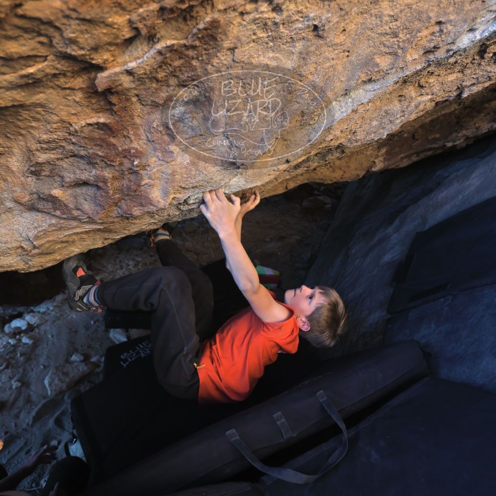 

Filename: SRM_20221113_1556560.jpg
Aperture: f/4.0
Shutter Speed: 1/320
Body: Canon EOS R6
Lens: Canon EF 16-35mm f/2.8 L