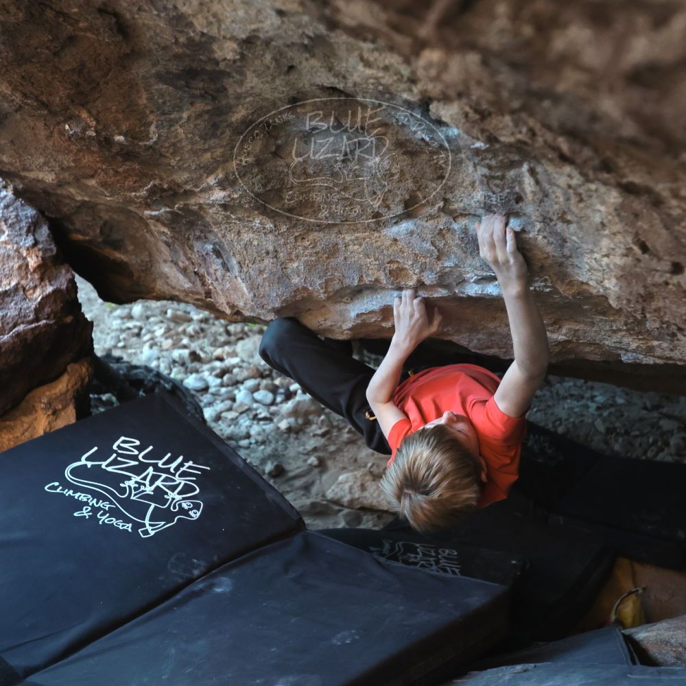 

Filename: SRM_20221113_1627330.jpg
Aperture: f/4.0
Shutter Speed: 1/320
Body: Canon EOS R6
Lens: Canon EF 16-35mm f/2.8 L