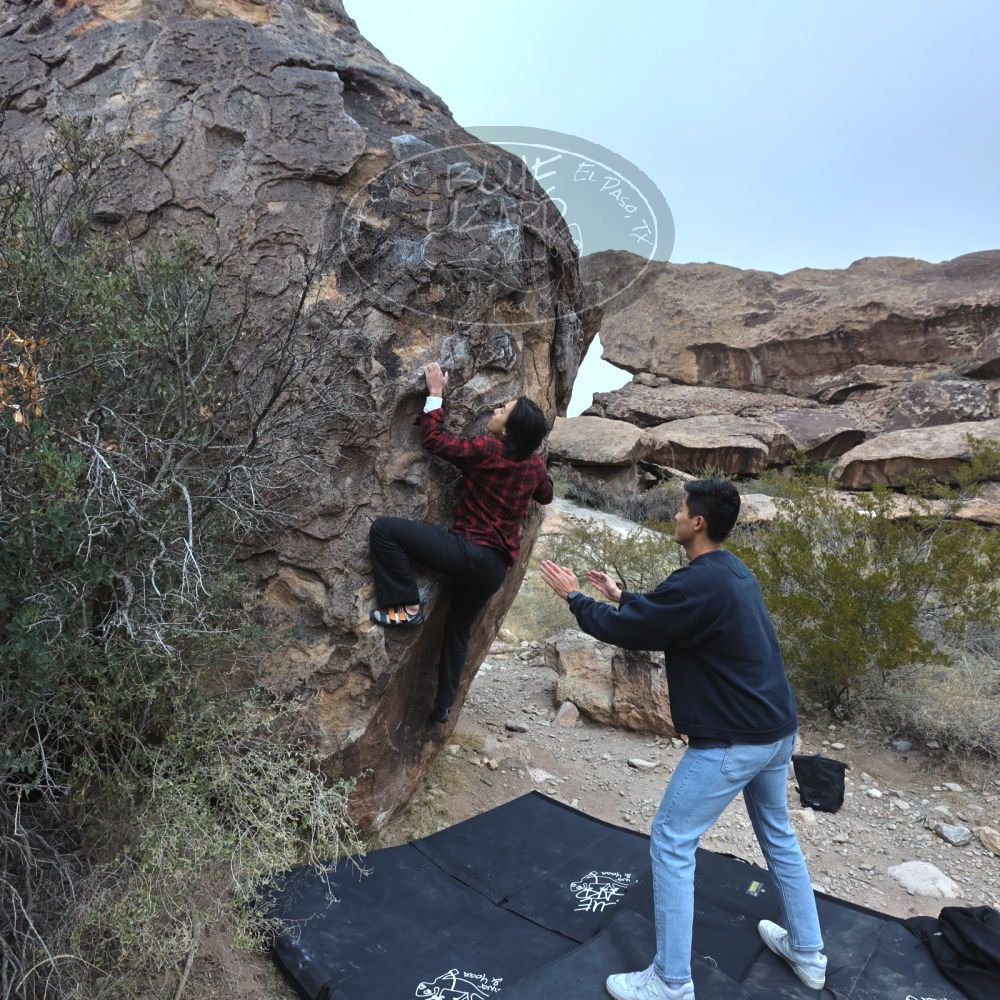 

Filename: SRM_20221120_0913290.jpg
Aperture: f/5.6
Shutter Speed: 1/320
Body: Canon EOS R6
Lens: Canon EF 16-35mm f/2.8 L