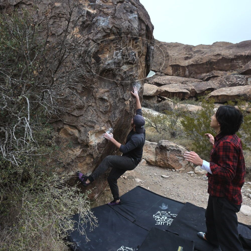 

Filename: SRM_20221120_0923060.jpg
Aperture: f/5.6
Shutter Speed: 1/320
Body: Canon EOS R6
Lens: Canon EF 16-35mm f/2.8 L