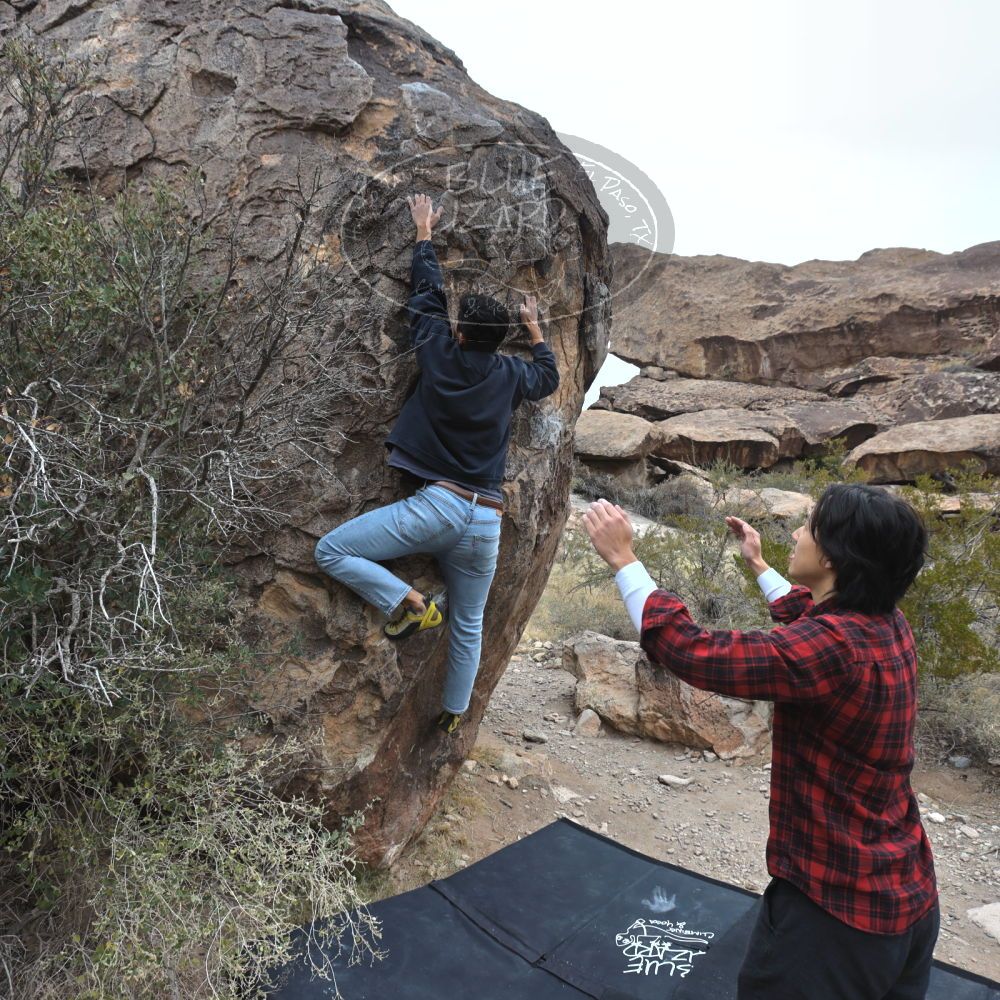 

Filename: SRM_20221120_0926530.jpg
Aperture: f/5.6
Shutter Speed: 1/320
Body: Canon EOS R6
Lens: Canon EF 16-35mm f/2.8 L