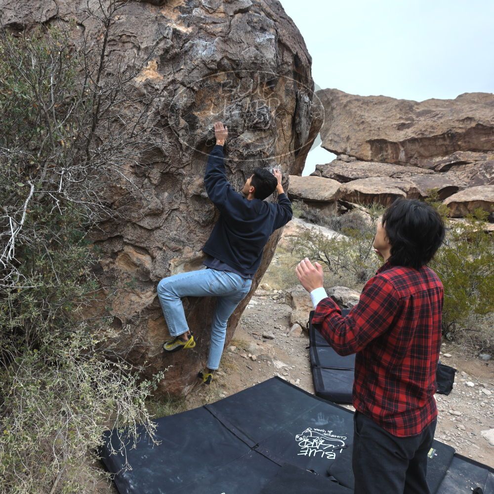 

Filename: SRM_20221120_0932240.jpg
Aperture: f/5.6
Shutter Speed: 1/320
Body: Canon EOS R6
Lens: Canon EF 16-35mm f/2.8 L