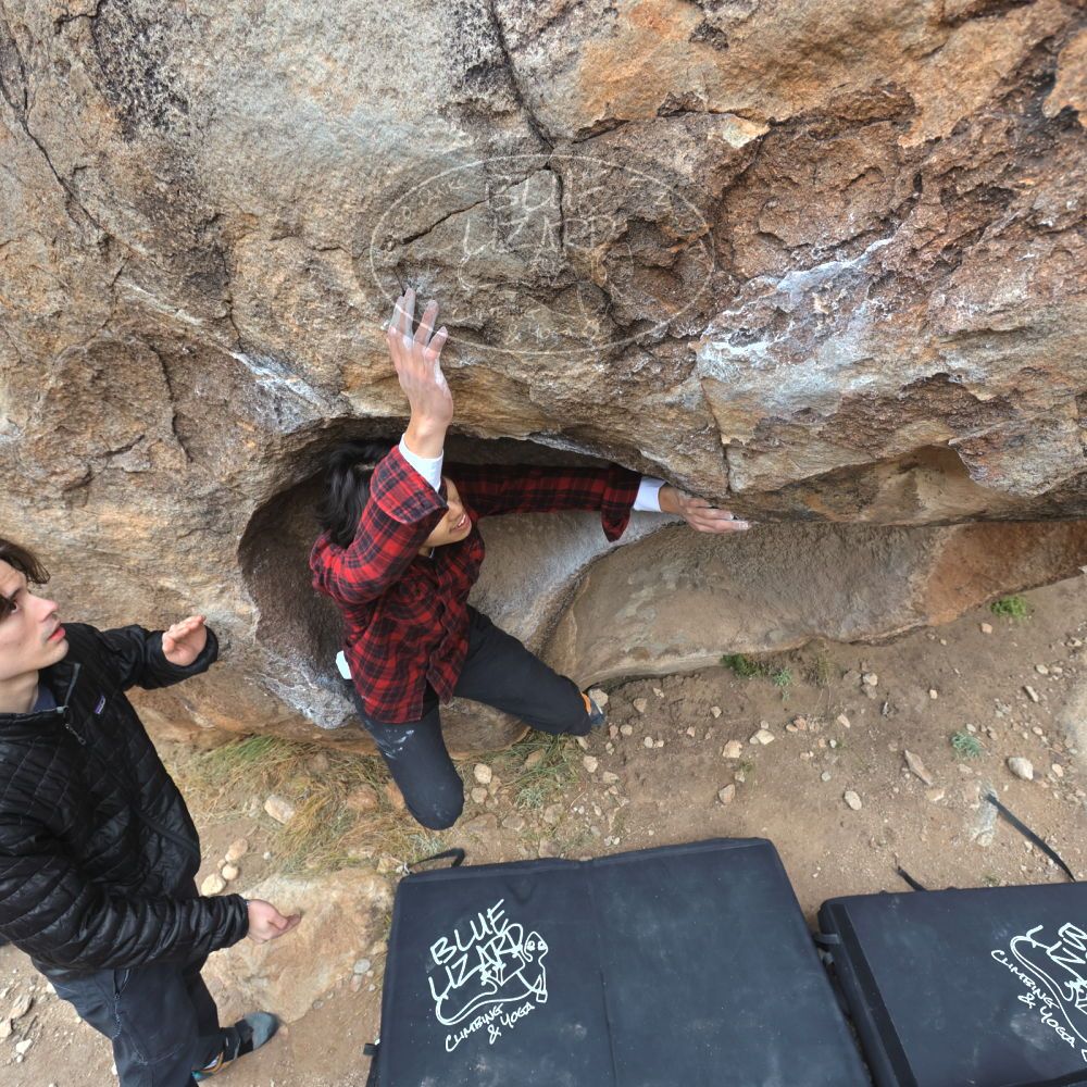 

Filename: SRM_20221120_0941200.jpg
Aperture: f/5.6
Shutter Speed: 1/320
Body: Canon EOS R6
Lens: Canon EF 16-35mm f/2.8 L