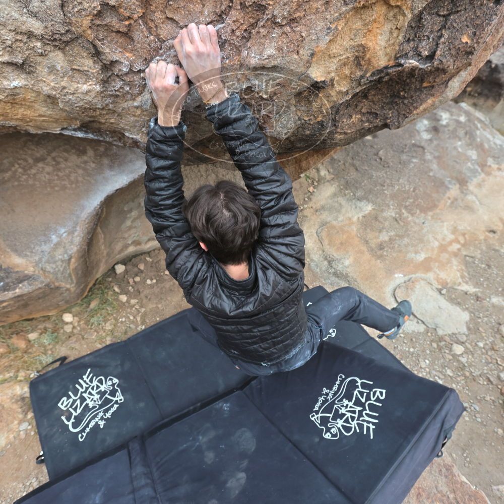 

Filename: SRM_20221120_0947110.jpg
Aperture: f/5.6
Shutter Speed: 1/320
Body: Canon EOS R6
Lens: Canon EF 16-35mm f/2.8 L