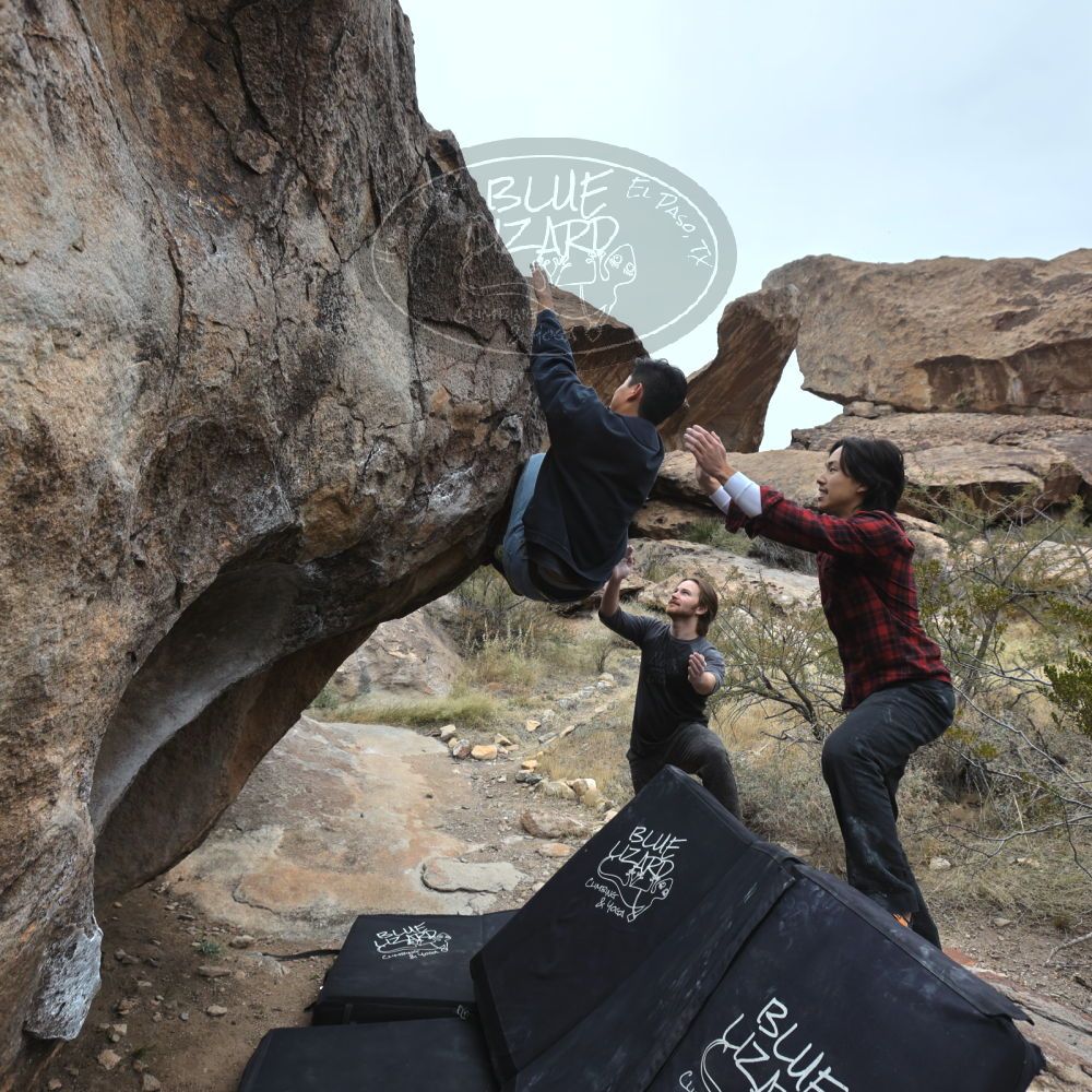 

Filename: SRM_20221120_1015570.jpg
Aperture: f/5.6
Shutter Speed: 1/320
Body: Canon EOS R6
Lens: Canon EF 16-35mm f/2.8 L