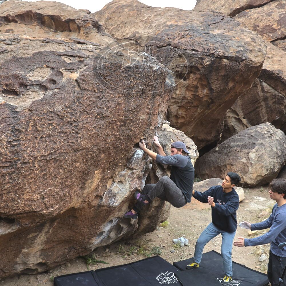 

Filename: SRM_20221120_1022280.jpg
Aperture: f/5.6
Shutter Speed: 1/320
Body: Canon EOS R6
Lens: Canon EF 16-35mm f/2.8 L