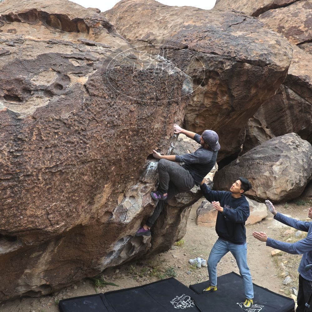 

Filename: SRM_20221120_1022310.jpg
Aperture: f/5.6
Shutter Speed: 1/320
Body: Canon EOS R6
Lens: Canon EF 16-35mm f/2.8 L