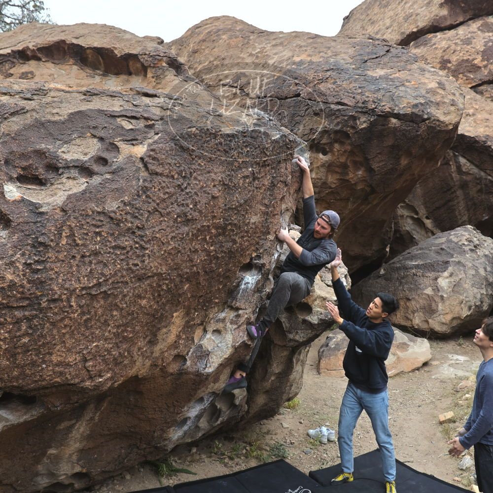 

Filename: SRM_20221120_1022410.jpg
Aperture: f/5.6
Shutter Speed: 1/320
Body: Canon EOS R6
Lens: Canon EF 16-35mm f/2.8 L