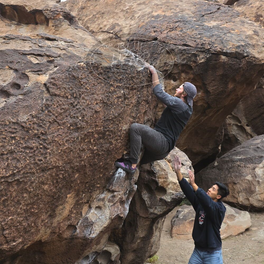 

Filename: SRM_20221120_1022460.jpg
Aperture: f/5.6
Shutter Speed: 1/320
Body: Canon EOS R6
Lens: Canon EF 16-35mm f/2.8 L