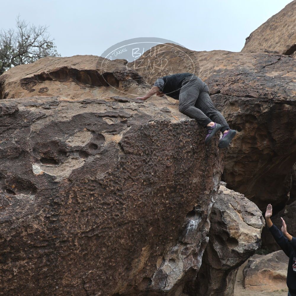 

Filename: SRM_20221120_1023140.jpg
Aperture: f/5.6
Shutter Speed: 1/320
Body: Canon EOS R6
Lens: Canon EF 16-35mm f/2.8 L