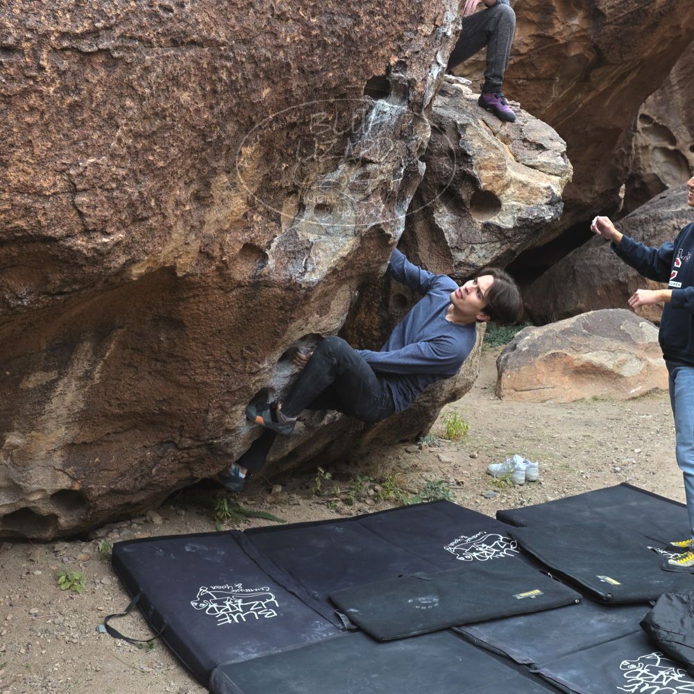 

Filename: SRM_20221120_1023441.jpg
Aperture: f/5.6
Shutter Speed: 1/320
Body: Canon EOS R6
Lens: Canon EF 16-35mm f/2.8 L