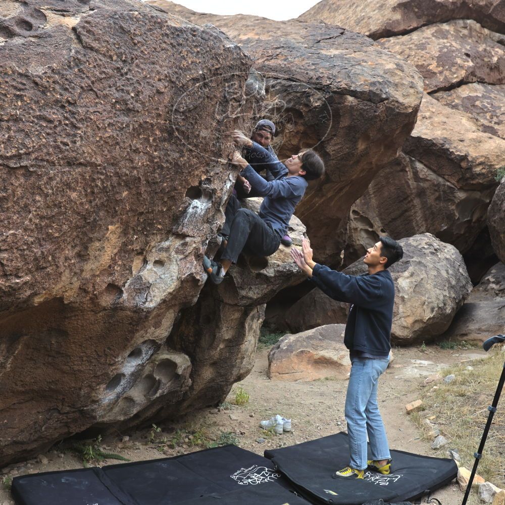 

Filename: SRM_20221120_1024060.jpg
Aperture: f/5.6
Shutter Speed: 1/320
Body: Canon EOS R6
Lens: Canon EF 16-35mm f/2.8 L