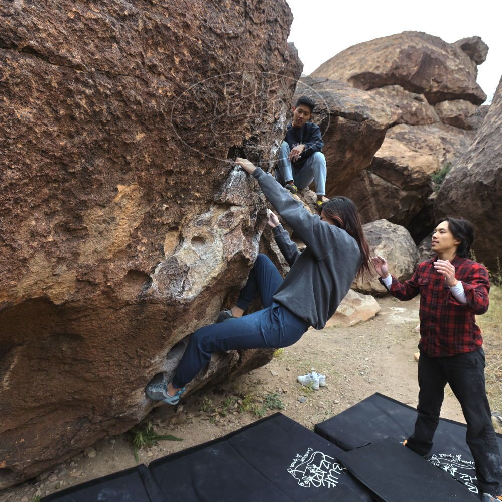 

Filename: SRM_20221120_1029400.jpg
Aperture: f/5.6
Shutter Speed: 1/320
Body: Canon EOS R6
Lens: Canon EF 16-35mm f/2.8 L