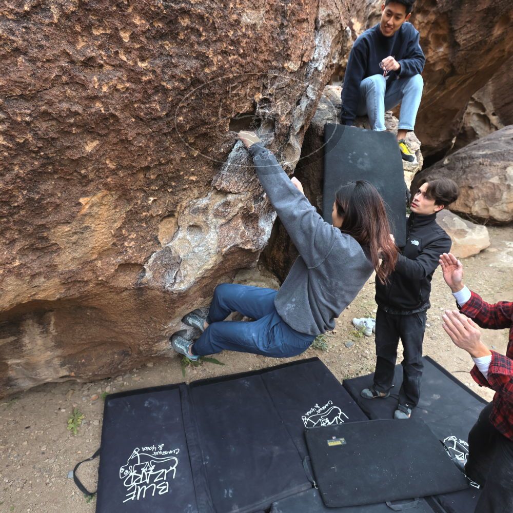 

Filename: SRM_20221120_1034110.jpg
Aperture: f/5.6
Shutter Speed: 1/320
Body: Canon EOS R6
Lens: Canon EF 16-35mm f/2.8 L