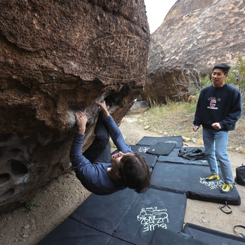 

Filename: SRM_20221120_1042430.jpg
Aperture: f/5.6
Shutter Speed: 1/320
Body: Canon EOS R6
Lens: Canon EF 16-35mm f/2.8 L