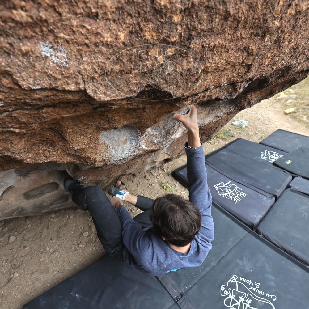 

Filename: SRM_20221120_1043010.jpg
Aperture: f/5.6
Shutter Speed: 1/320
Body: Canon EOS R6
Lens: Canon EF 16-35mm f/2.8 L