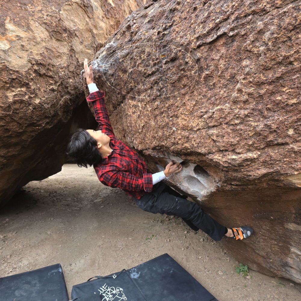 

Filename: SRM_20221120_1044060.jpg
Aperture: f/5.6
Shutter Speed: 1/320
Body: Canon EOS R6
Lens: Canon EF 16-35mm f/2.8 L