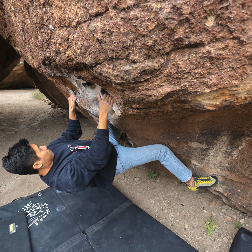 

Filename: SRM_20221120_1046170.jpg
Aperture: f/5.6
Shutter Speed: 1/320
Body: Canon EOS R6
Lens: Canon EF 16-35mm f/2.8 L