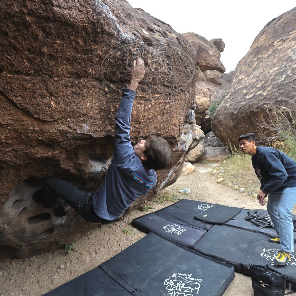 

Filename: SRM_20221120_1047400.jpg
Aperture: f/5.6
Shutter Speed: 1/320
Body: Canon EOS R6
Lens: Canon EF 16-35mm f/2.8 L