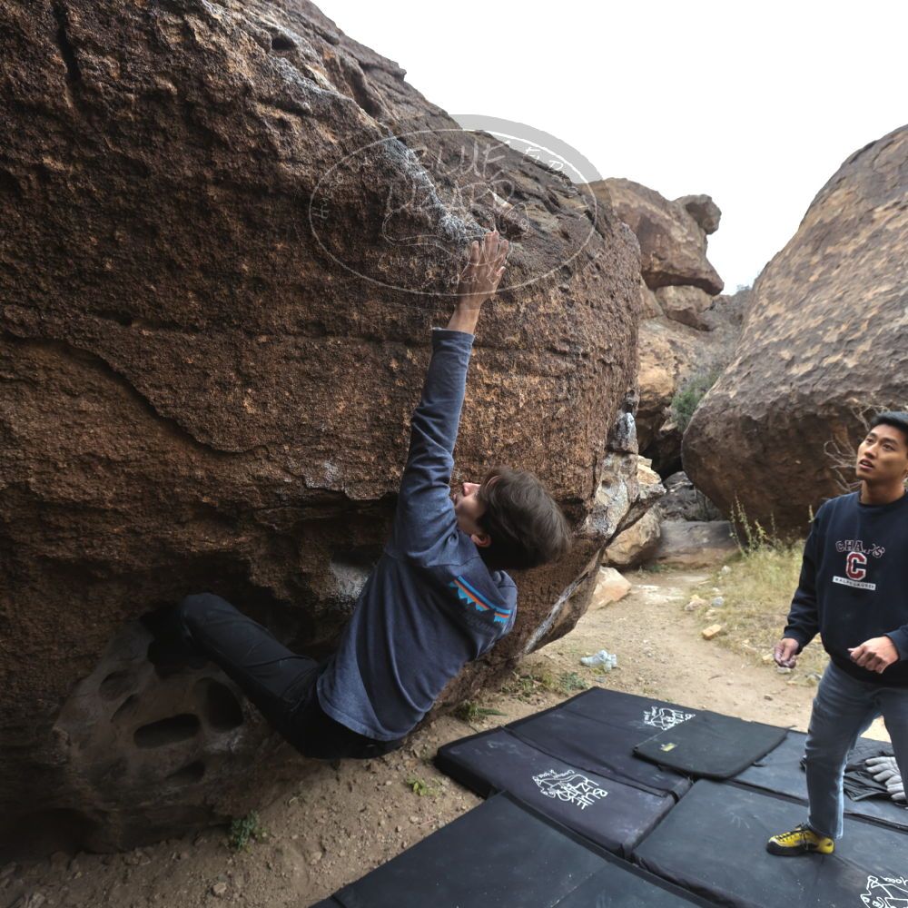 

Filename: SRM_20221120_1047470.jpg
Aperture: f/5.6
Shutter Speed: 1/320
Body: Canon EOS R6
Lens: Canon EF 16-35mm f/2.8 L