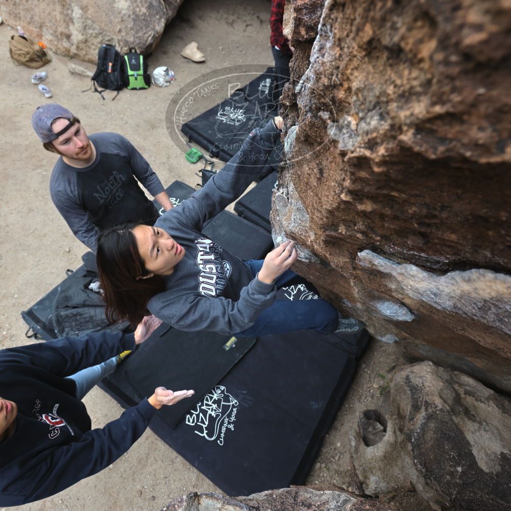 

Filename: SRM_20221120_1049090.jpg
Aperture: f/5.6
Shutter Speed: 1/320
Body: Canon EOS R6
Lens: Canon EF 16-35mm f/2.8 L