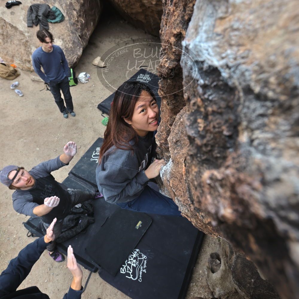 

Filename: SRM_20221120_1049431.jpg
Aperture: f/5.6
Shutter Speed: 1/320
Body: Canon EOS R6
Lens: Canon EF 16-35mm f/2.8 L