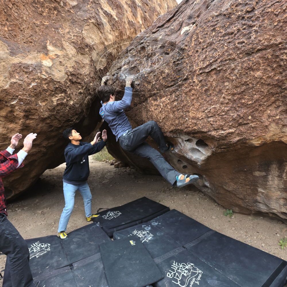 

Filename: SRM_20221120_1053180.jpg
Aperture: f/5.6
Shutter Speed: 1/320
Body: Canon EOS R6
Lens: Canon EF 16-35mm f/2.8 L