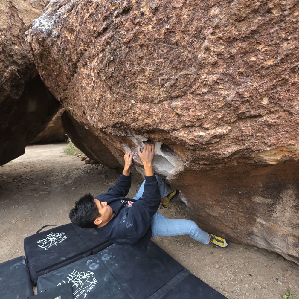 

Filename: SRM_20221120_1058540.jpg
Aperture: f/5.6
Shutter Speed: 1/320
Body: Canon EOS R6
Lens: Canon EF 16-35mm f/2.8 L