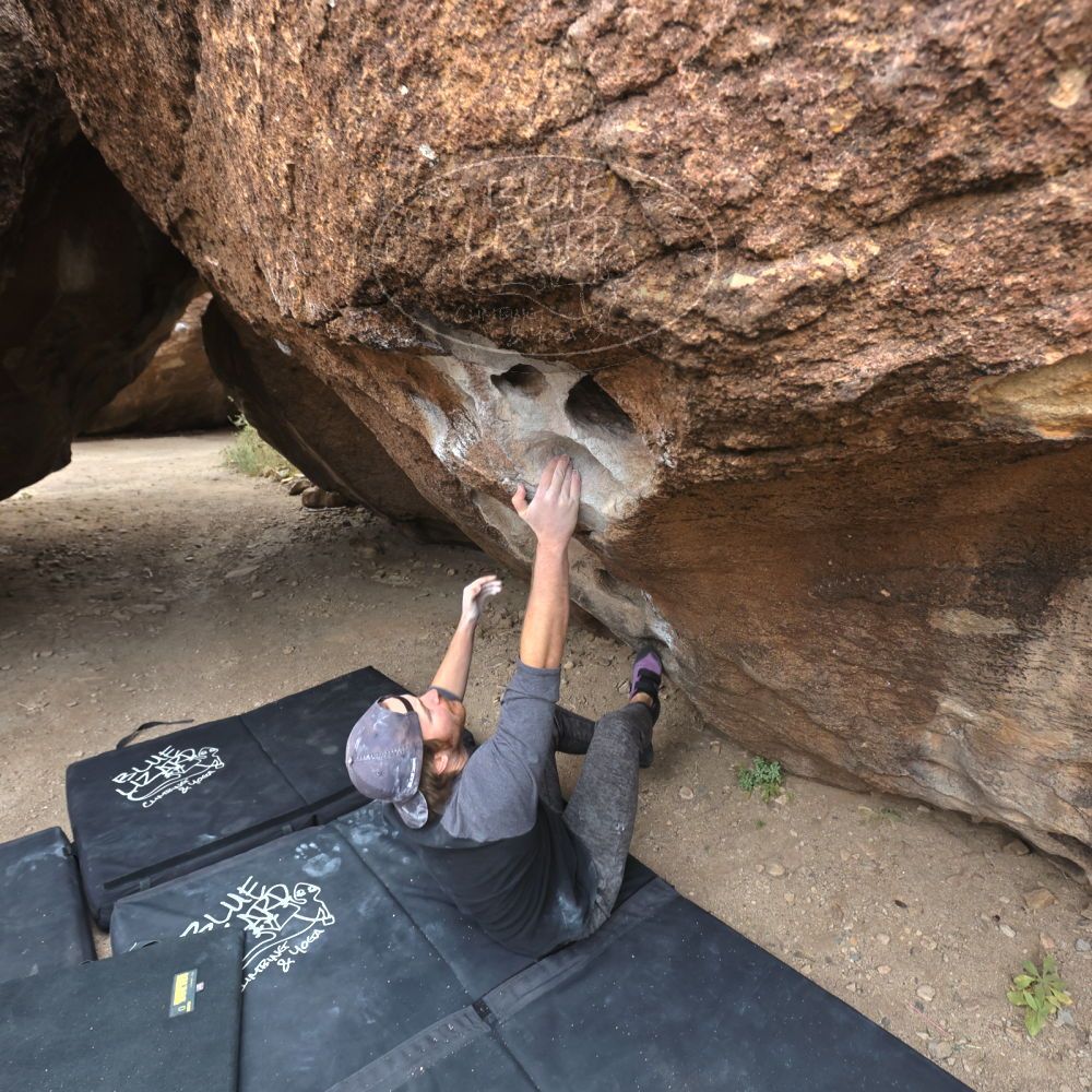 

Filename: SRM_20221120_1100051.jpg
Aperture: f/5.6
Shutter Speed: 1/320
Body: Canon EOS R6
Lens: Canon EF 16-35mm f/2.8 L