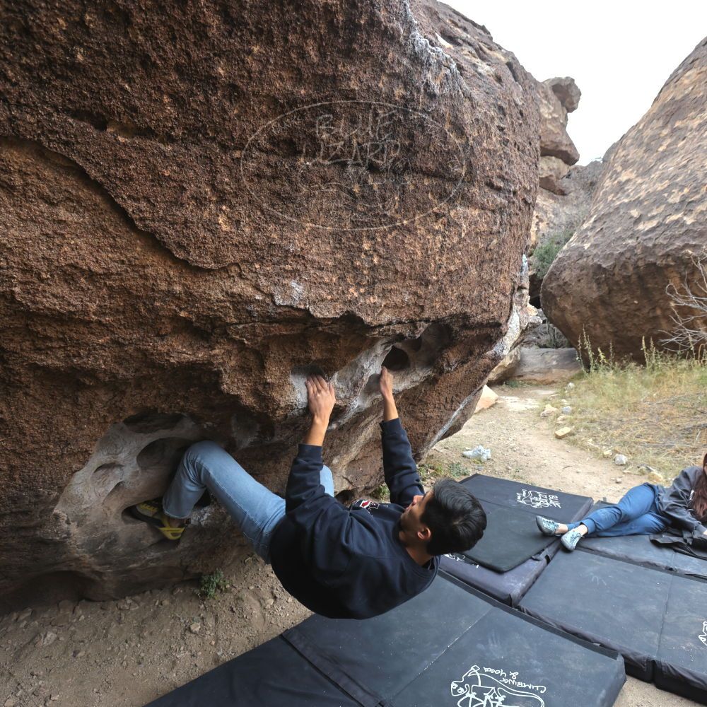 

Filename: SRM_20221120_1103020.jpg
Aperture: f/5.6
Shutter Speed: 1/320
Body: Canon EOS R6
Lens: Canon EF 16-35mm f/2.8 L