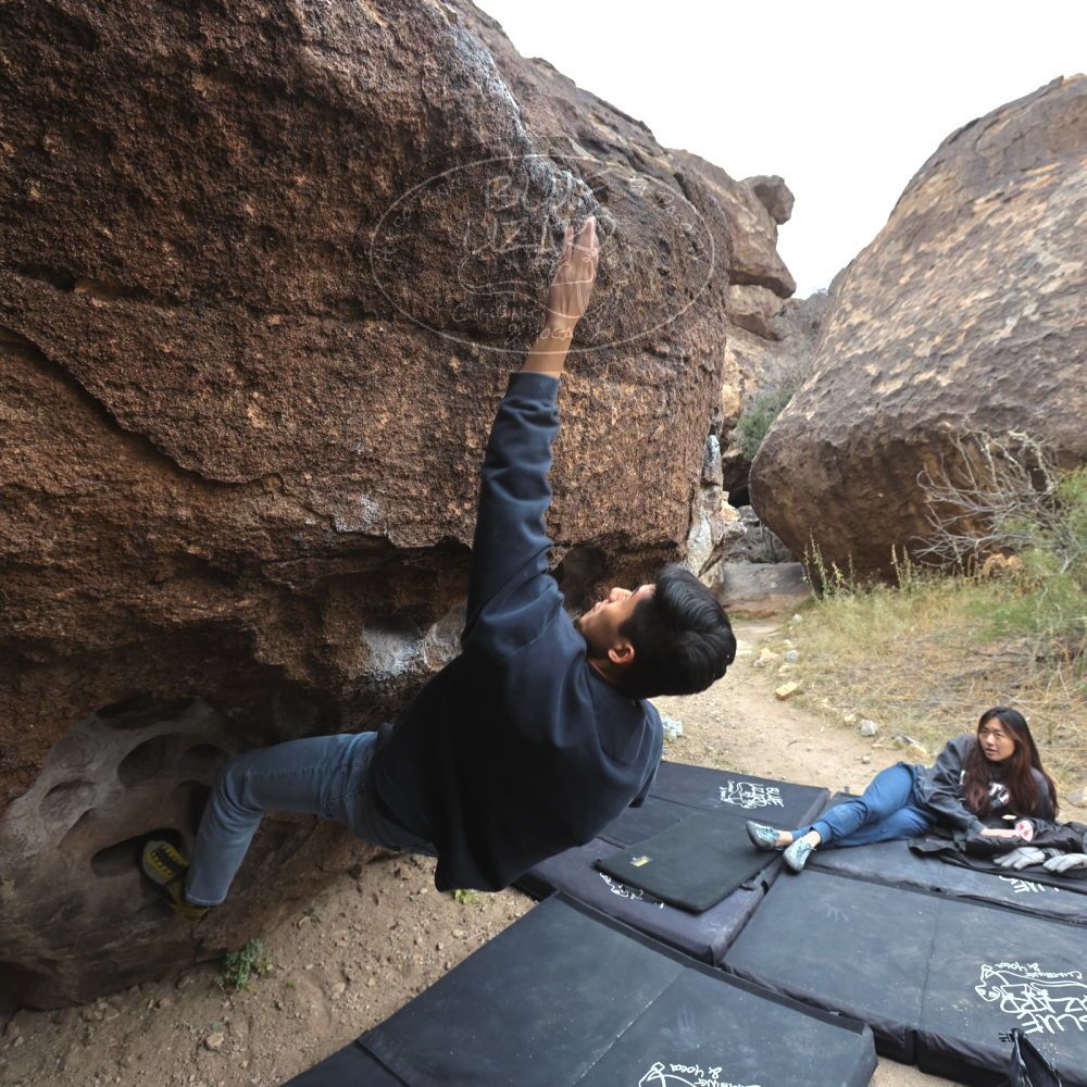 

Filename: SRM_20221120_1103110.jpg
Aperture: f/5.6
Shutter Speed: 1/320
Body: Canon EOS R6
Lens: Canon EF 16-35mm f/2.8 L