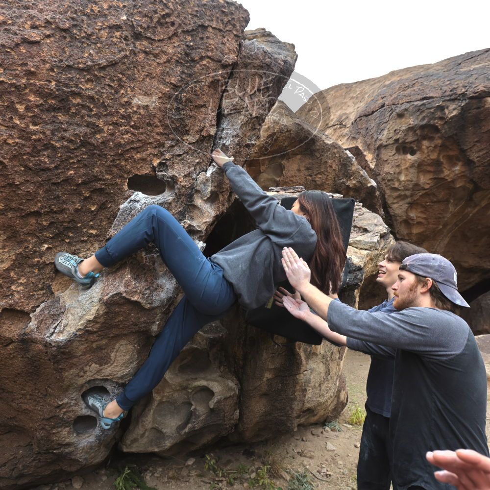 

Filename: SRM_20221120_1106390.jpg
Aperture: f/5.6
Shutter Speed: 1/320
Body: Canon EOS R6
Lens: Canon EF 16-35mm f/2.8 L