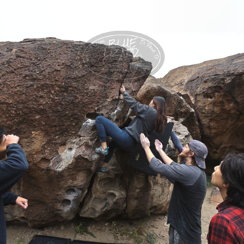 

Filename: SRM_20221120_1106490.jpg
Aperture: f/5.6
Shutter Speed: 1/320
Body: Canon EOS R6
Lens: Canon EF 16-35mm f/2.8 L