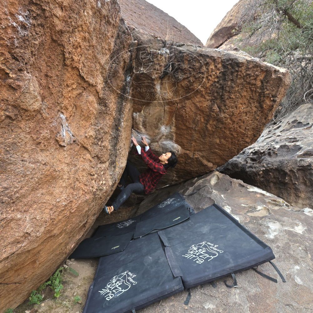 

Filename: SRM_20221120_1126370.jpg
Aperture: f/5.6
Shutter Speed: 1/320
Body: Canon EOS R6
Lens: Canon EF 16-35mm f/2.8 L