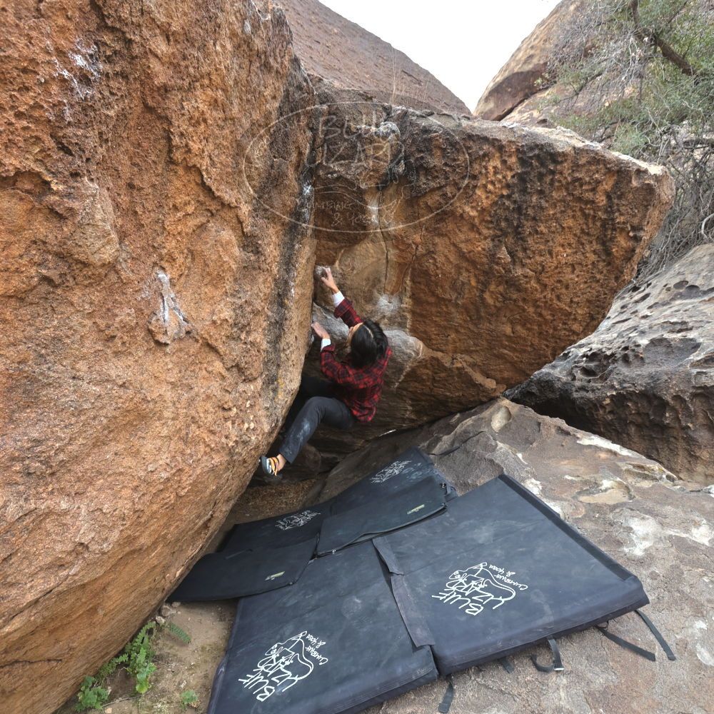 

Filename: SRM_20221120_1126420.jpg
Aperture: f/5.6
Shutter Speed: 1/320
Body: Canon EOS R6
Lens: Canon EF 16-35mm f/2.8 L