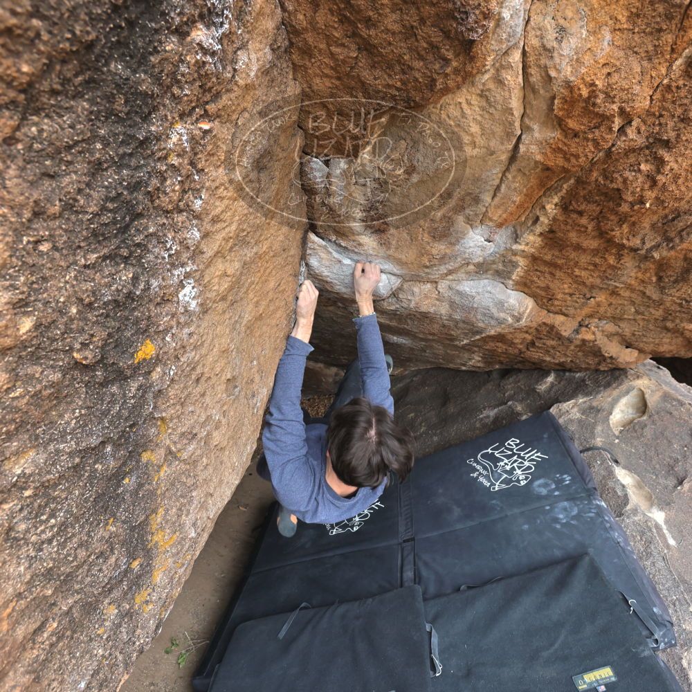 

Filename: SRM_20221120_1132290.jpg
Aperture: f/5.6
Shutter Speed: 1/320
Body: Canon EOS R6
Lens: Canon EF 16-35mm f/2.8 L