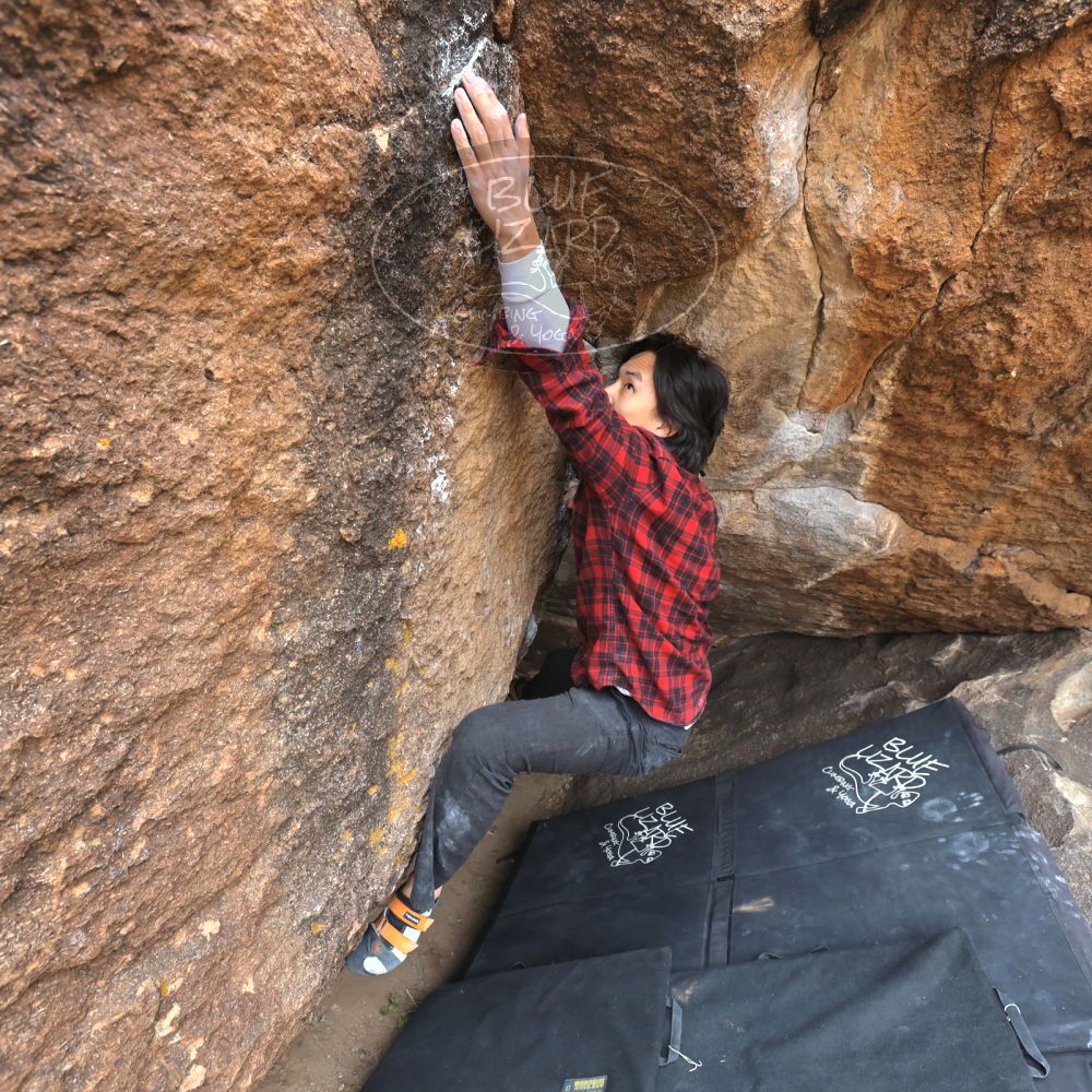 

Filename: SRM_20221120_1135270.jpg
Aperture: f/5.6
Shutter Speed: 1/320
Body: Canon EOS R6
Lens: Canon EF 16-35mm f/2.8 L