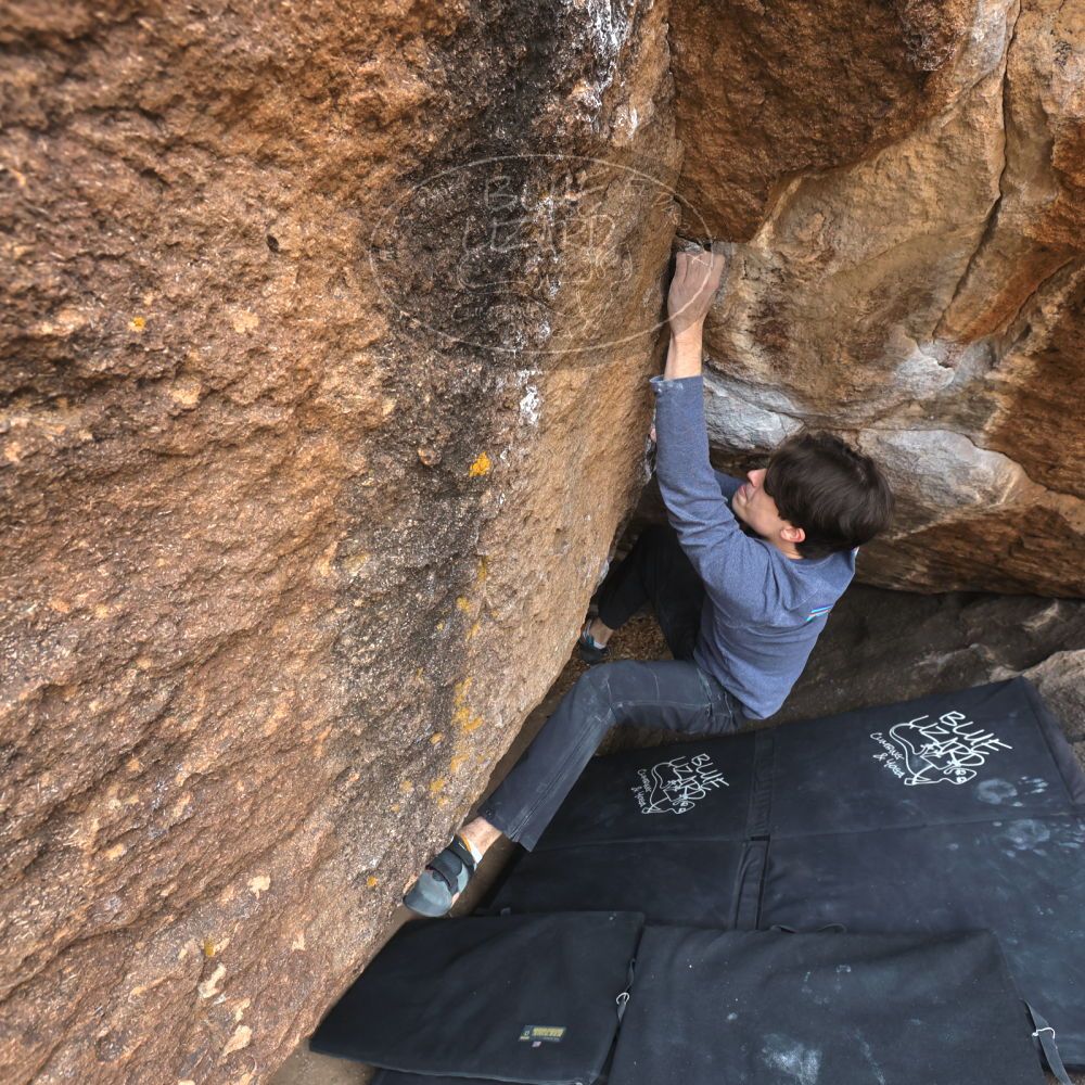 

Filename: SRM_20221120_1139201.jpg
Aperture: f/5.6
Shutter Speed: 1/320
Body: Canon EOS R6
Lens: Canon EF 16-35mm f/2.8 L