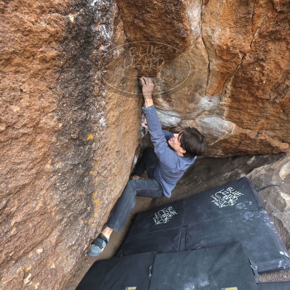 

Filename: SRM_20221120_1140050.jpg
Aperture: f/5.6
Shutter Speed: 1/320
Body: Canon EOS R6
Lens: Canon EF 16-35mm f/2.8 L