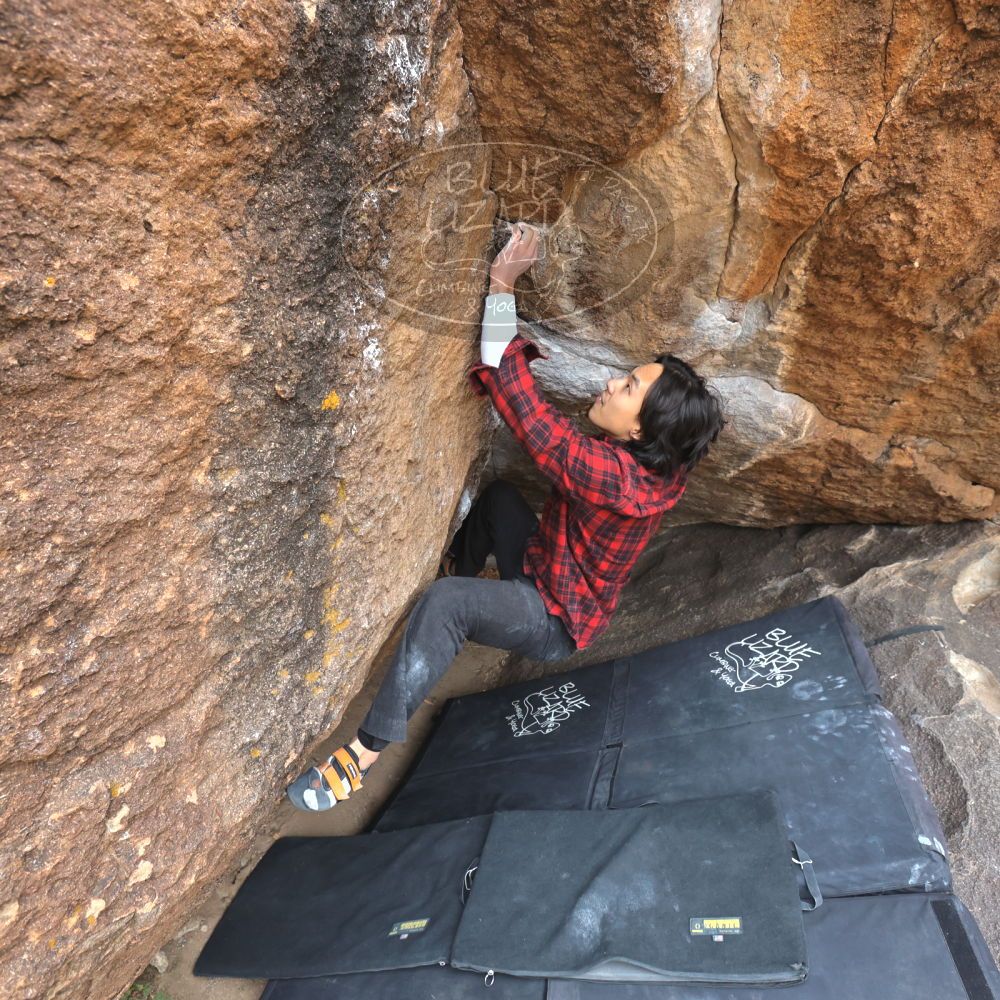 

Filename: SRM_20221120_1140420.jpg
Aperture: f/5.6
Shutter Speed: 1/320
Body: Canon EOS R6
Lens: Canon EF 16-35mm f/2.8 L